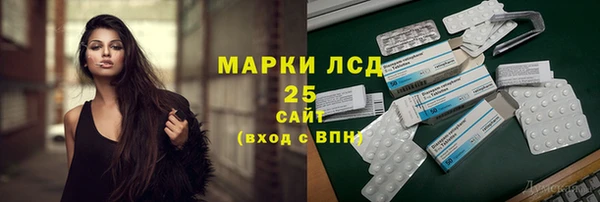 ПСИЛОЦИБИНОВЫЕ ГРИБЫ Белокуриха