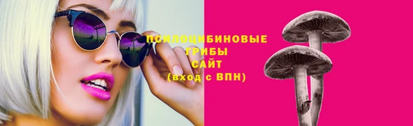 ПСИЛОЦИБИНОВЫЕ ГРИБЫ Балабаново