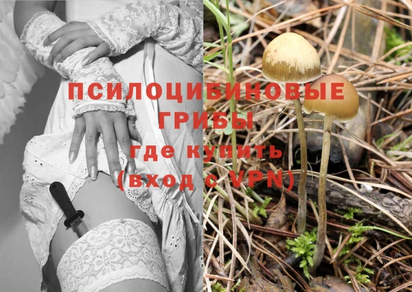 ПСИЛОЦИБИНОВЫЕ ГРИБЫ Белокуриха