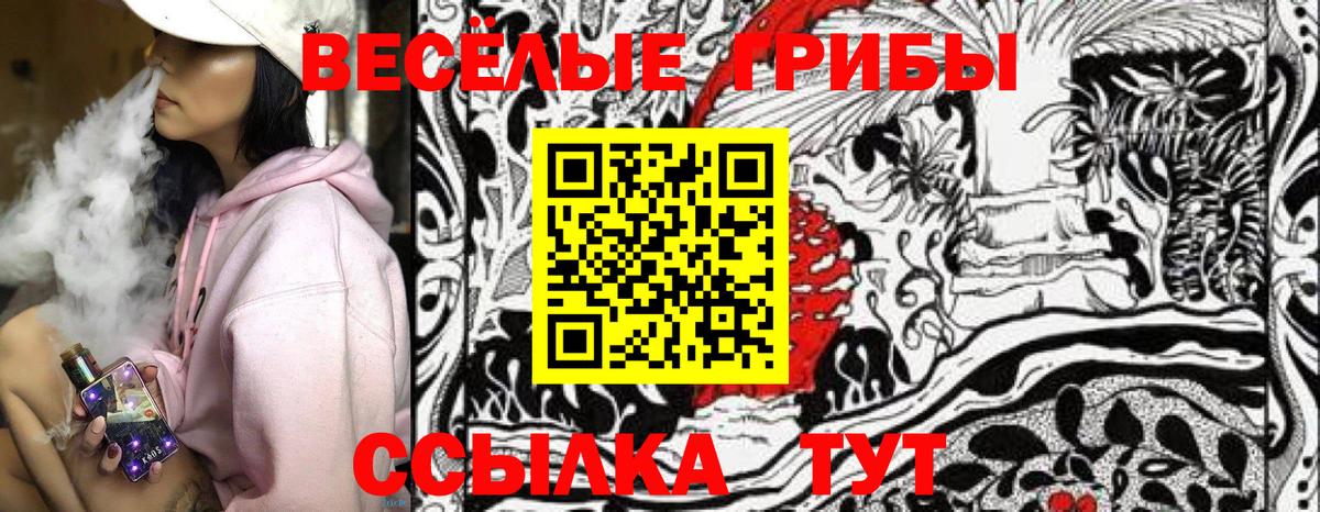 Псилоцибиновые грибы мицелий Северск